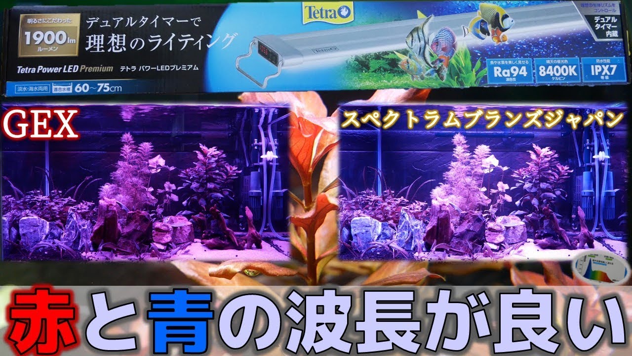 ⑥ テトラ パワーLEDプレミアム90 スペクトラム ブランズ ジャパン