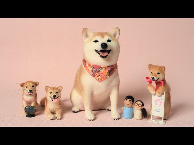 初めまして♪羊毛フェルト柴犬作家 ざくら子です🌸 - YouTube