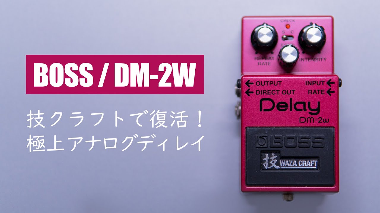 BOSS DM-2w ディレイエフェクター ※背面パーツ変更あり BOSS DM-2w
