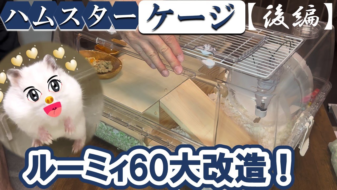 Part 2] The major renovation of the 