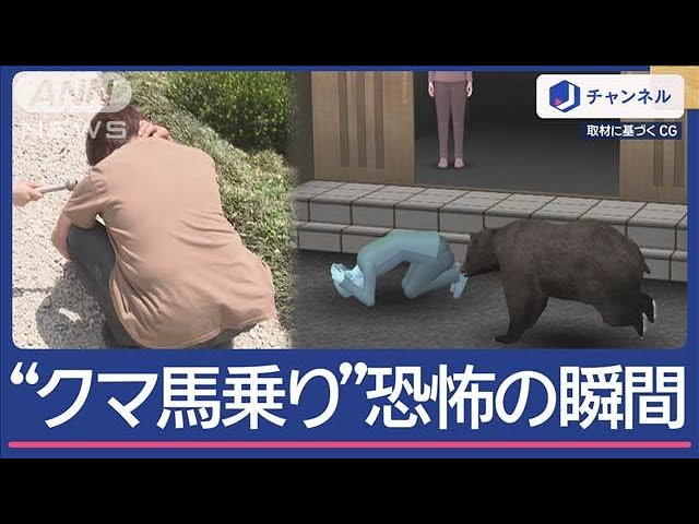 目撃相次ぐ】北海道で“クマの親子”が車に接近 子グマ守ろうと威嚇か