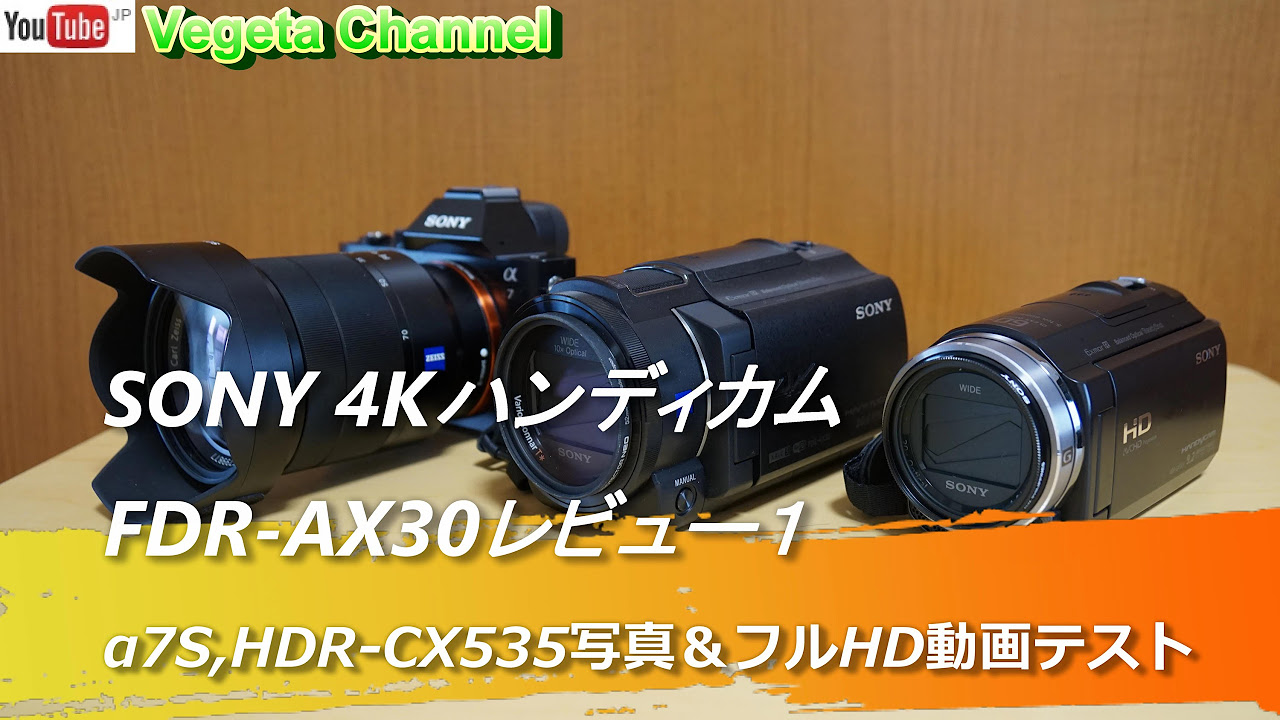SONY FDR-AX30 ビデオカメラ ジャンク YOUBUN様 専用 ジャンクSONY FDR