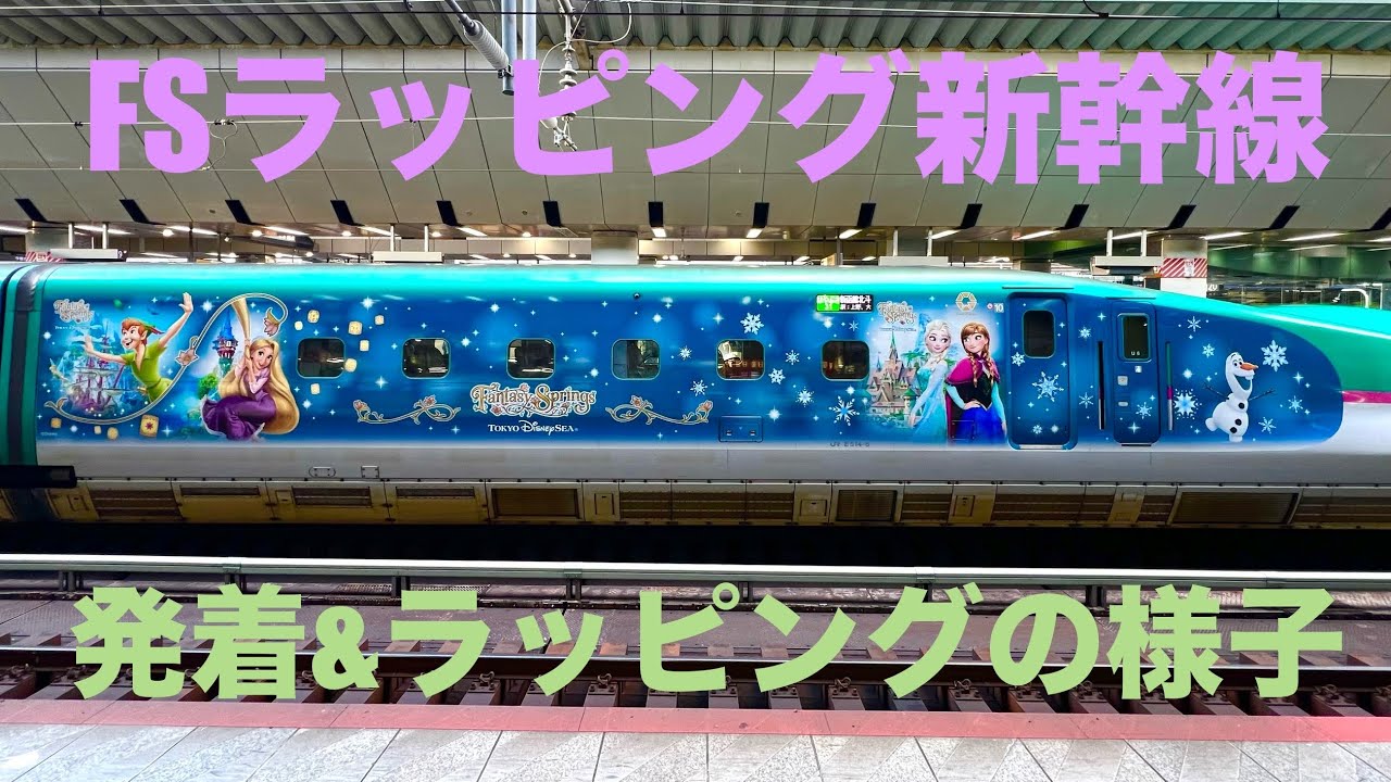 希少・限定品】E5系 東北新幹線 はやぶさ TOHOKU-JAPANラッピング 希少