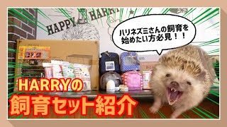 ハリネズミさん】初心者必見？！HARRYのハリネズミさん飼育セットをご