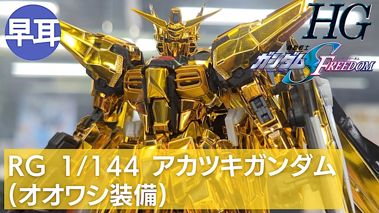 RG 1/144 アカツキガンダム(オオワシ装備)