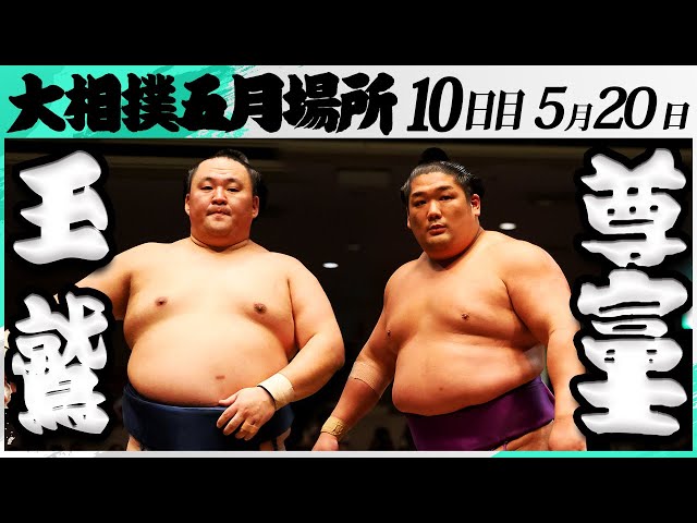 大相撲力士 相撲人形 レア 5枚 セット 蚤の市 大相撲力士 相撲人形