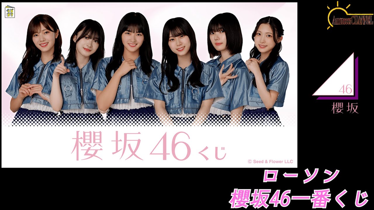 櫻坂46くじラスト賞 We are Buddies ブラック MA-1ジャケット
