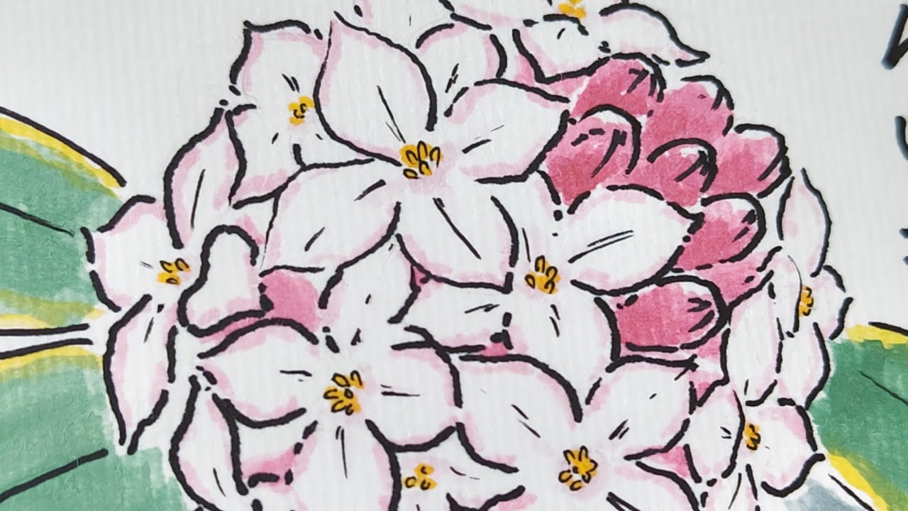 花の絵 花の絵 花圖 カード検索 ｜ Z/X - Zillions of enemy X