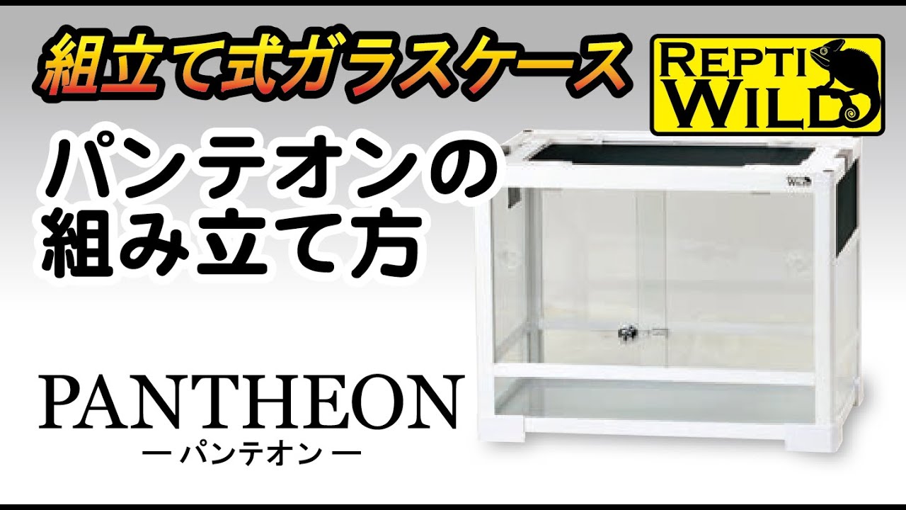 パンテオン ホワイト WH6035 ｜ 株式会社三晃商会