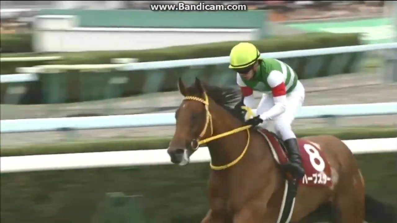 2014 札幌記念 (GII) ハープスター - YouTube