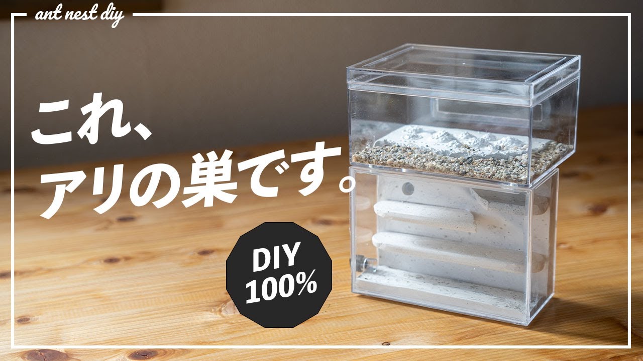 MICE】アリ石膏巣ユニット 30×20cm×2個セット MICE】アリ石膏巣