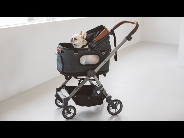 ROYAL TAILS Grace Classic Plus - YouTube