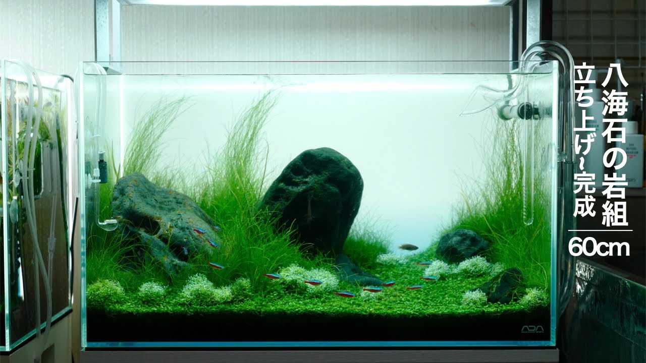 八海石 希少 八海山石9kg】アクアリウム 親石 ウブ石 ジャグレ石 水無