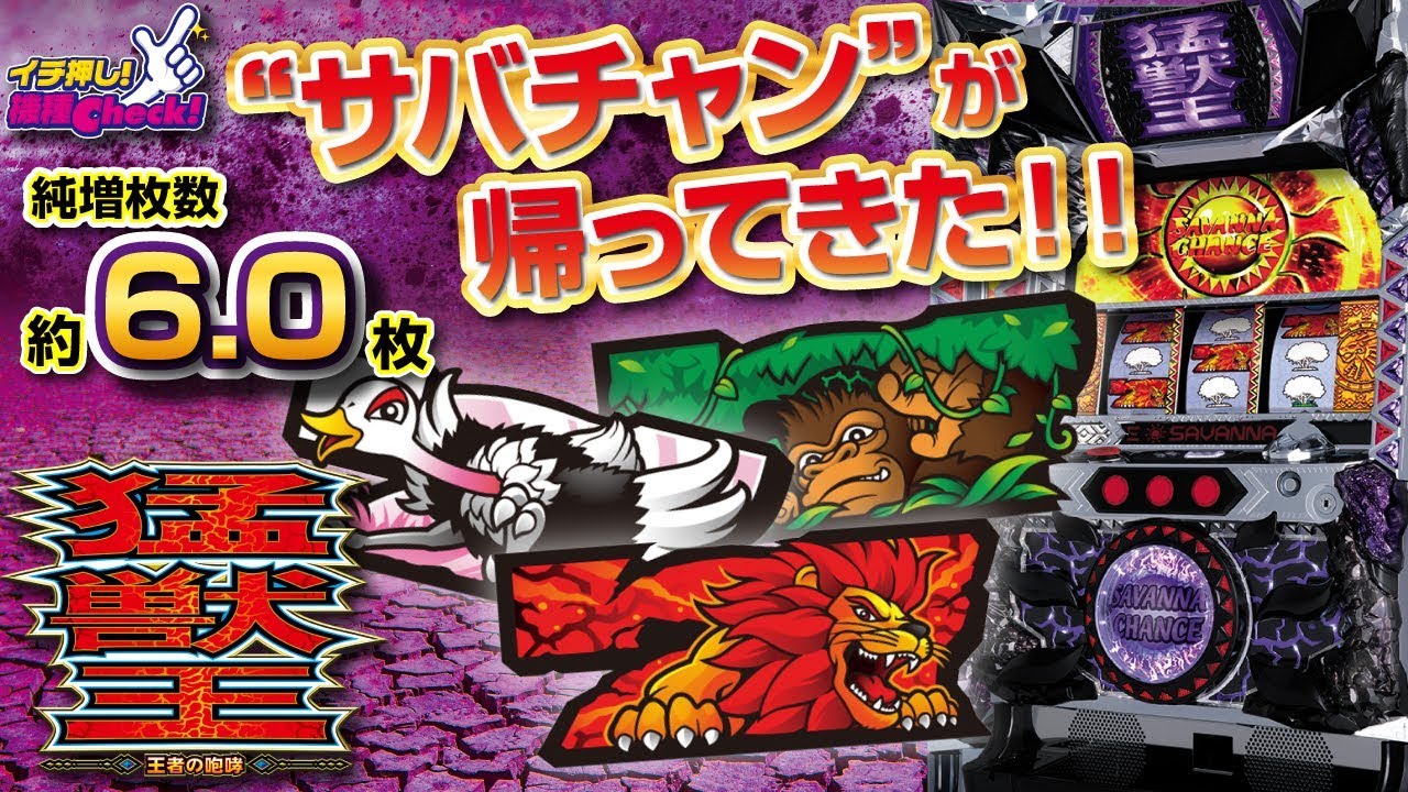 パチスロ猛獣王 王者の咆哮】サバチャン⇔猛獣王MODEループ率最大80