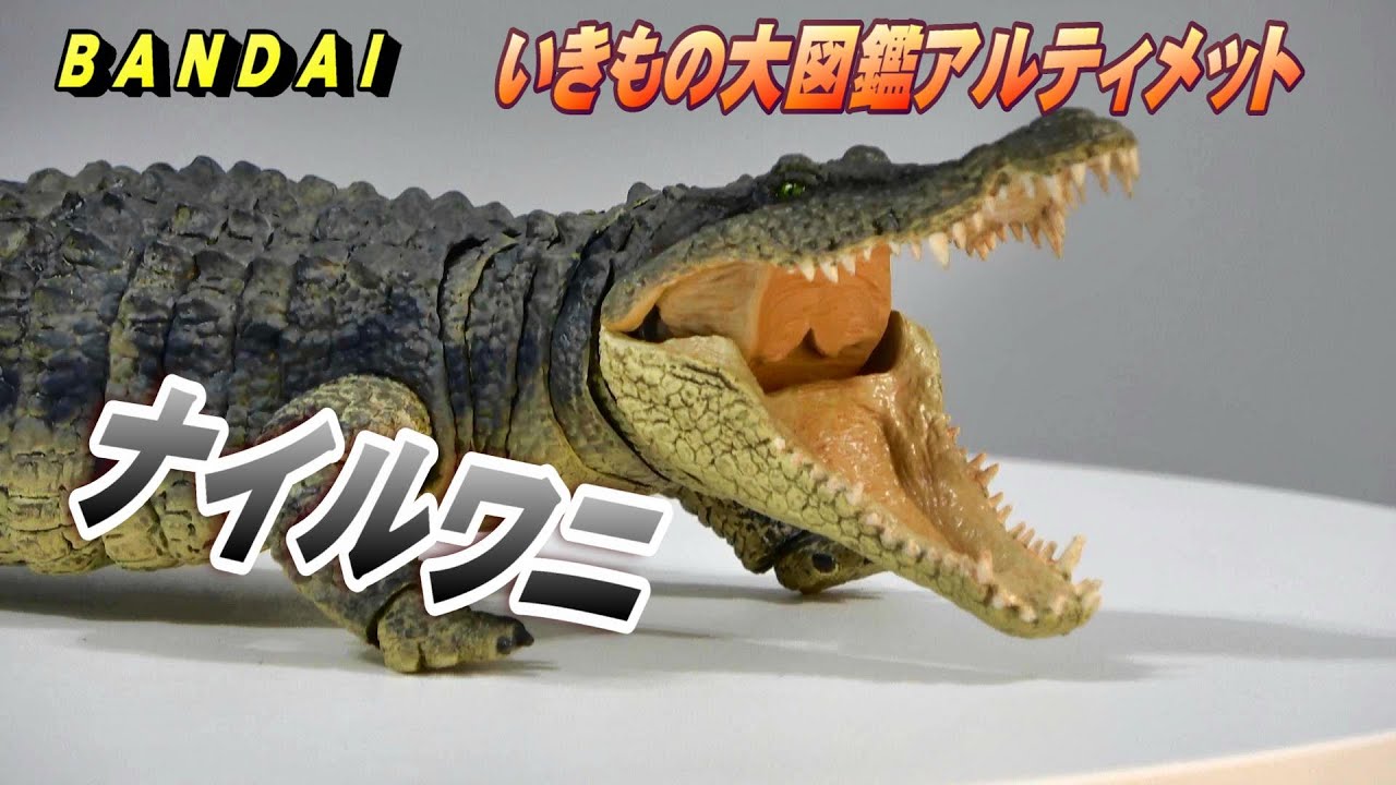 ナイルワニ》いきもの大図鑑アルティメット 開封レビュー