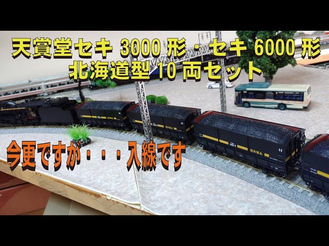 天賞堂セキ3000形・セキ6000形 北海道タイプ 10両セットⅡ【グッ鉄の
