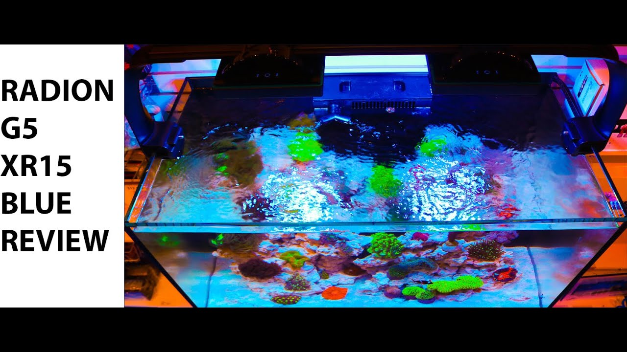 Ecotech Radion G5 XR15 Blue Review - YouTube