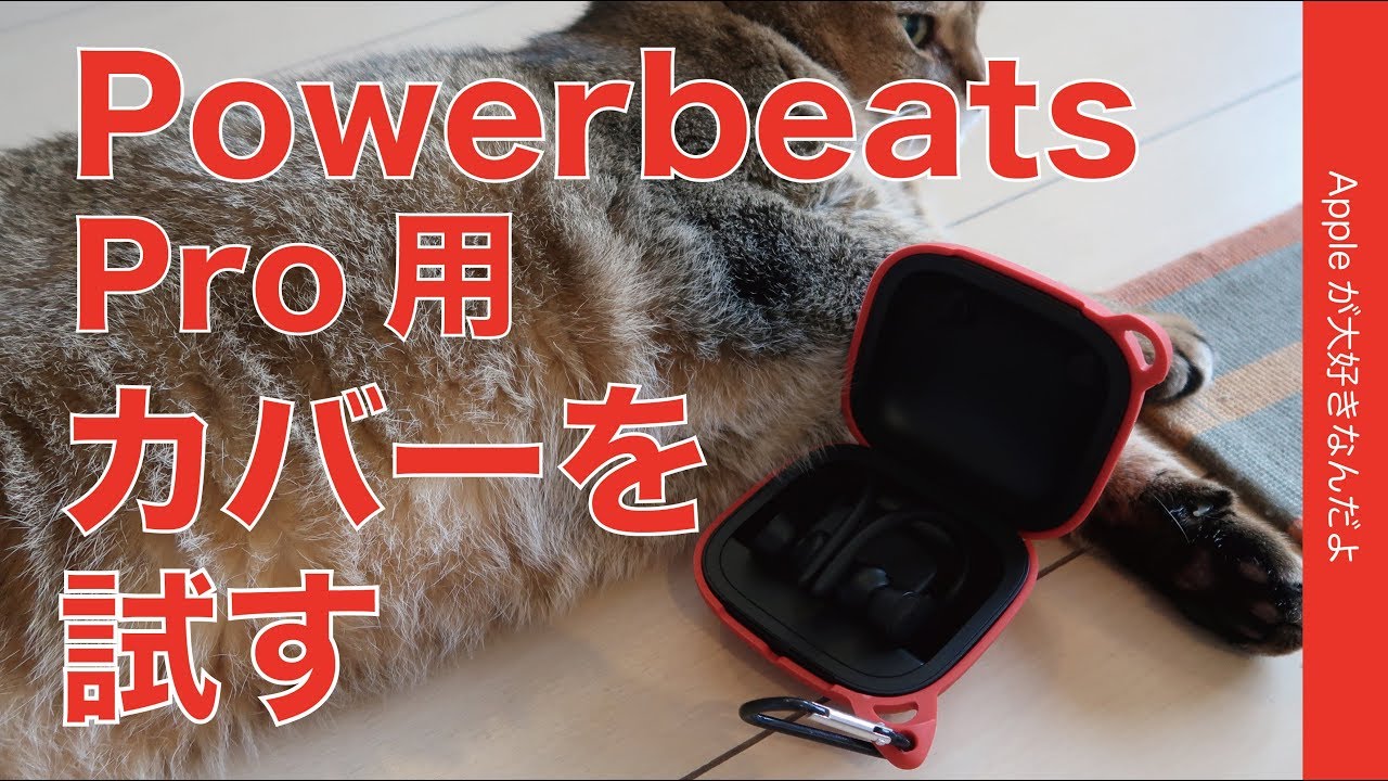 Powerbeats Pro2週間／充電ケースを裸で使った感想＆カラビナ付