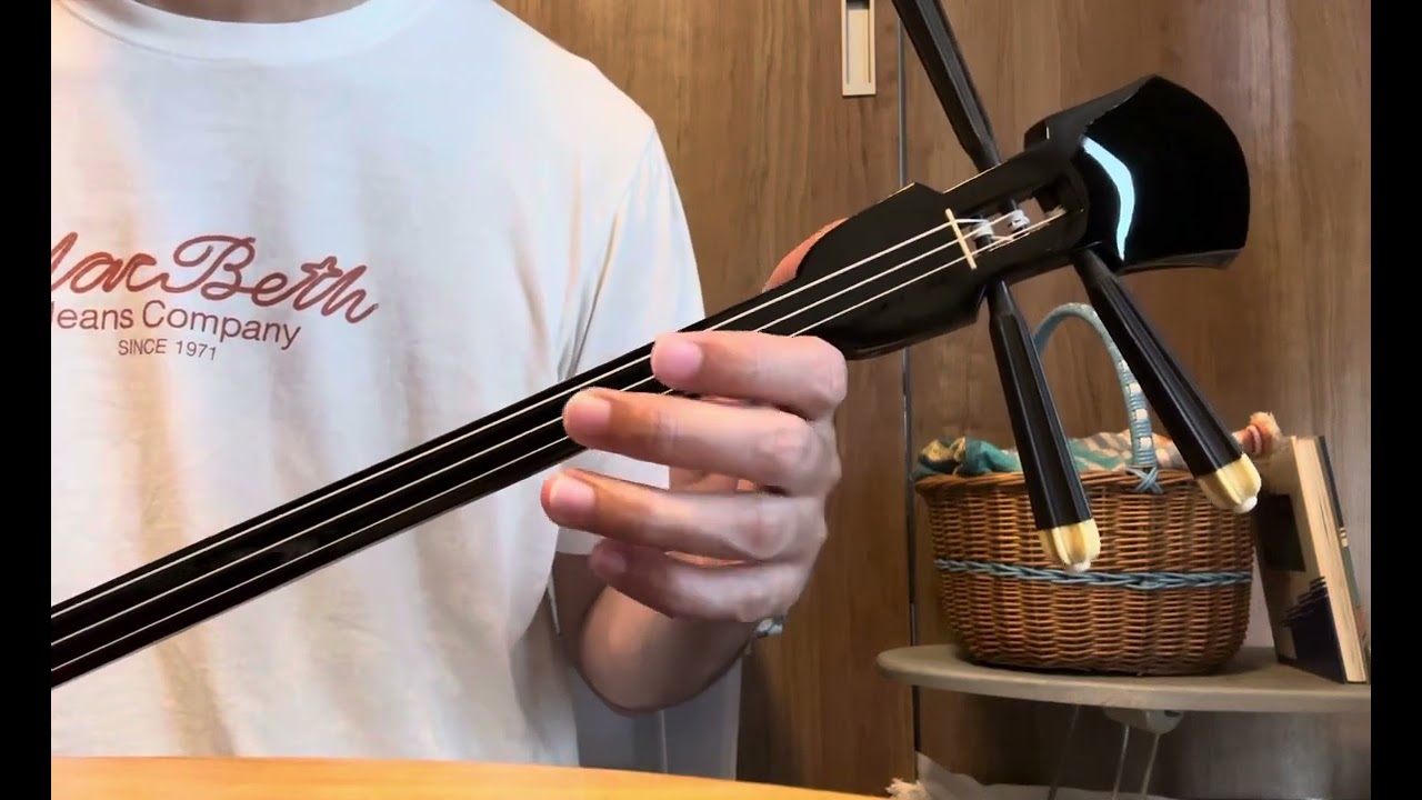 沖縄 三線 大宜味村 芭蕉布 ティーガー 手掛け 未使用 1点もの