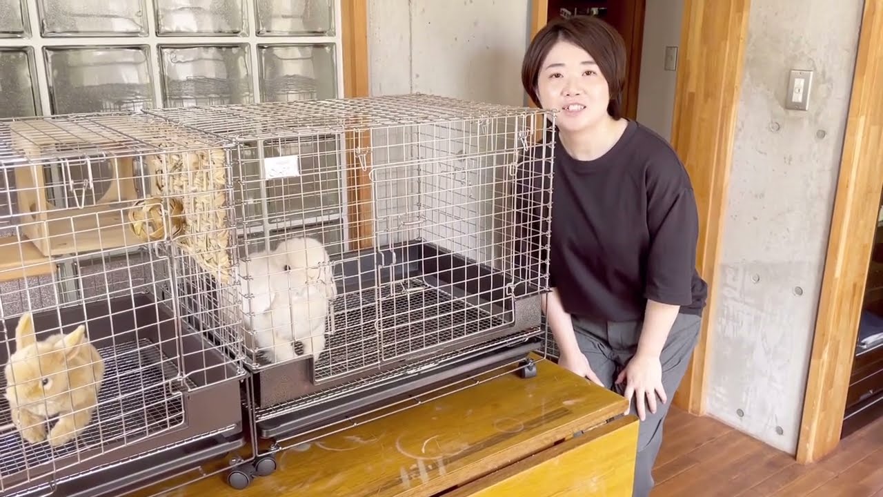 NEWコンフォートSTグレード - YouTube