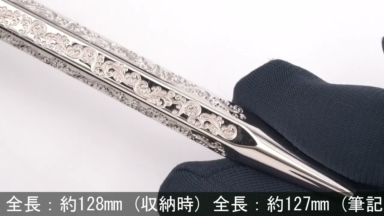 CARAN d'ACHE カランダッシュ ボールペン エクリドール 日本限定