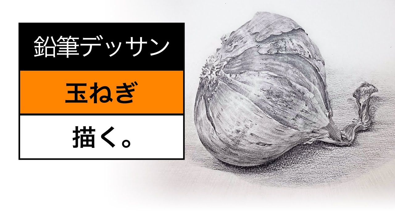 玉ねぎの鉛筆画 静物画玉ねぎ 玉ねぎの鉛筆画 静物画玉ねぎ 玉ねぎの