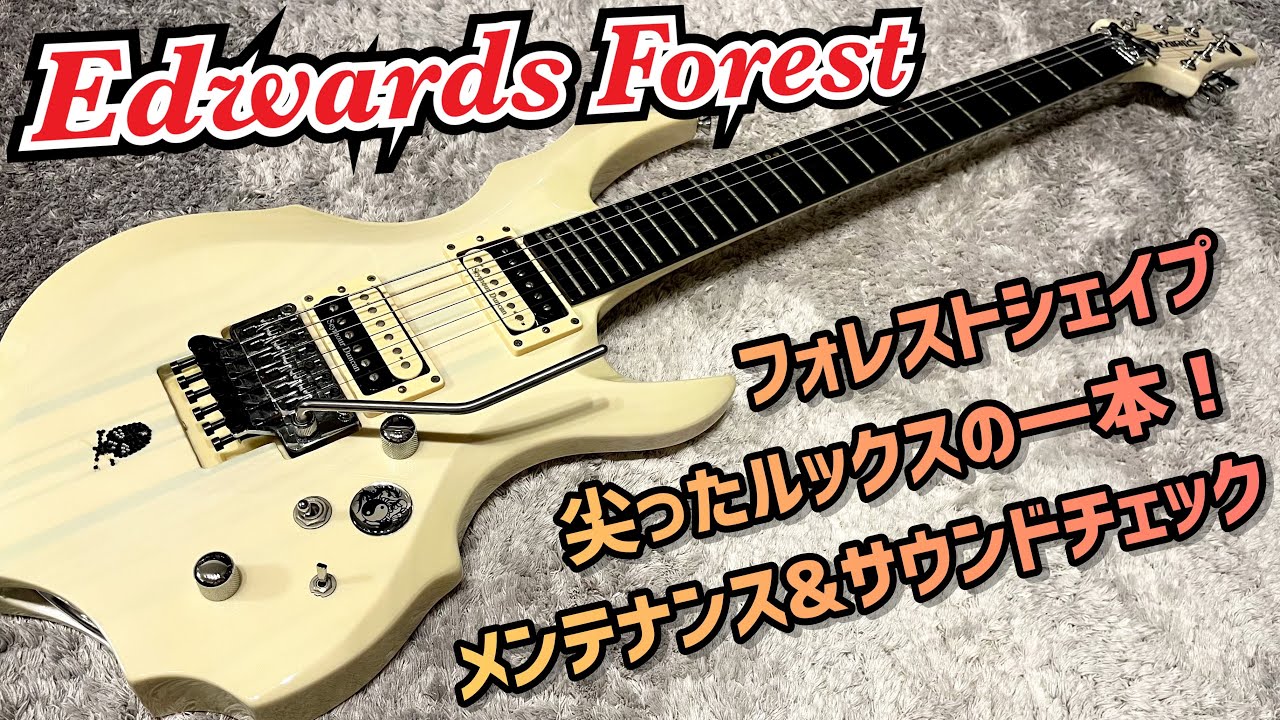 EDWARDS FOREST E-FR-130GT ヴィジュアル系に人気のルックス 内部確認
