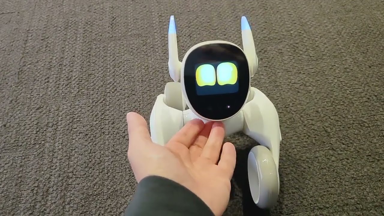 maxresdefault.jpg?sqp=-