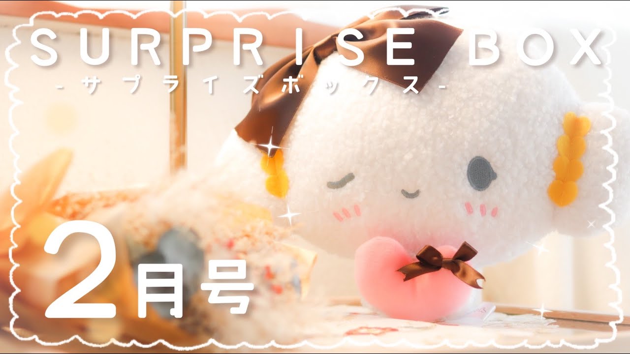 こぎみゅんサプライズボックス&その他セット サプライズボックス