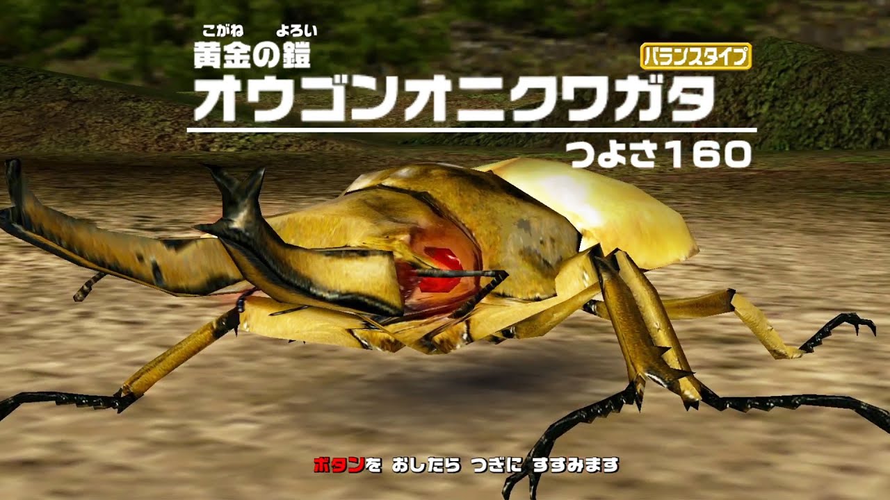 ネプチューンオオカブト タランドゥスツヤクワガタ アダー完結編