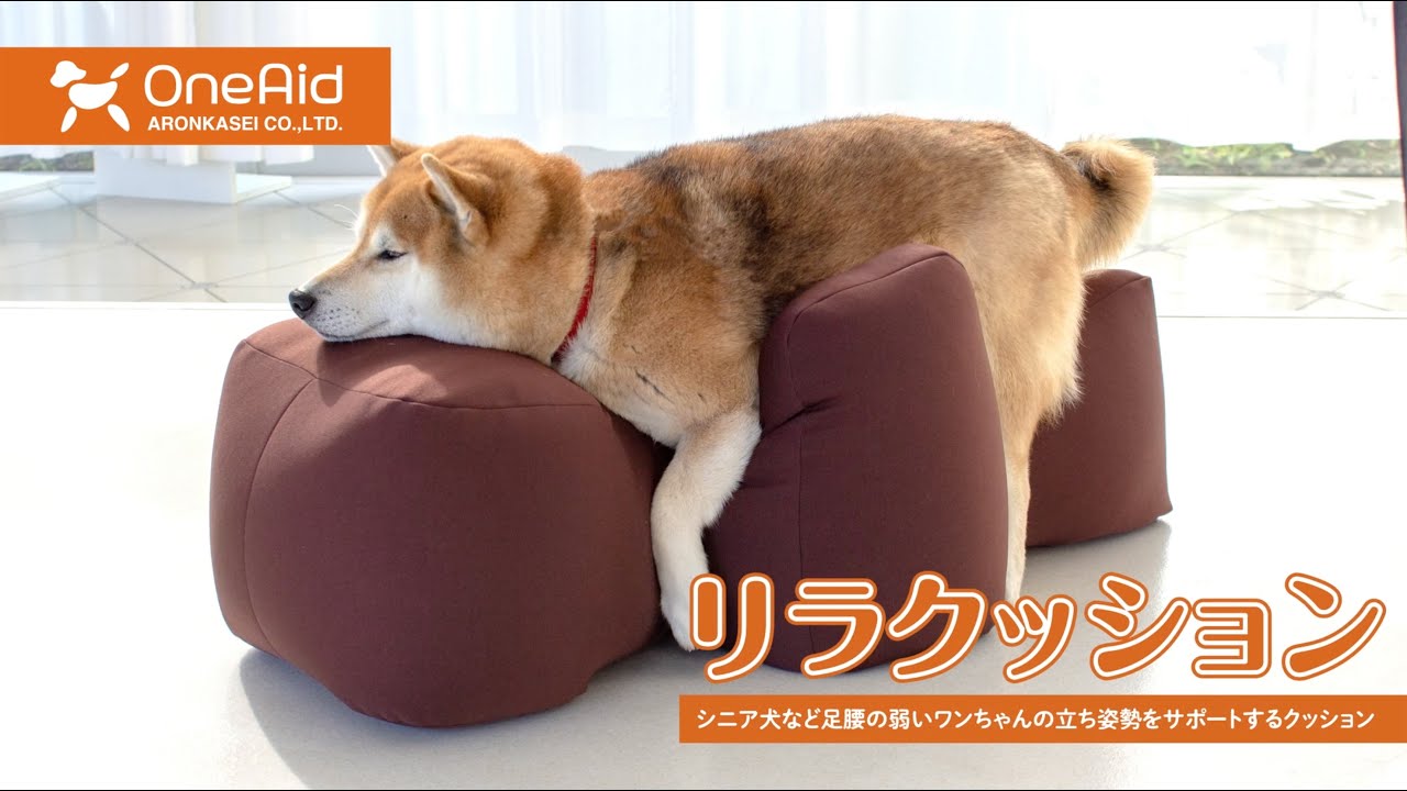 リラクッション ワンちゃんをラク～におたすけ！