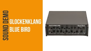 Glockenklang Blue Bird « Bass Amp Head | Musik Produktiv