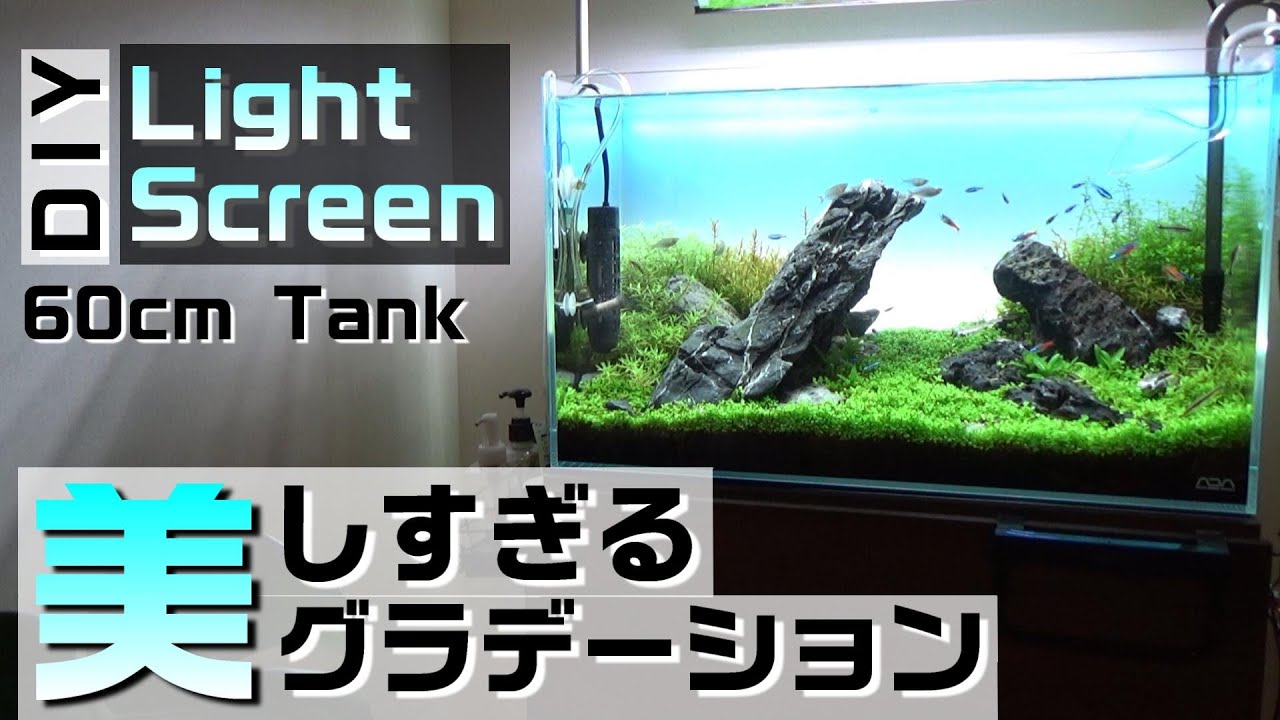 アクアリウム】60cm水槽 自作ライトスクリーンADAの約半額で完璧な