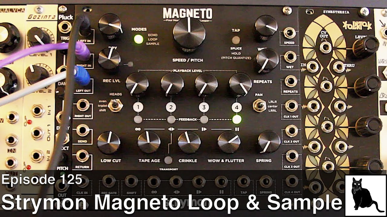 Strymon Magneto Loop & Sample Modes [Episode 125] - YouTube