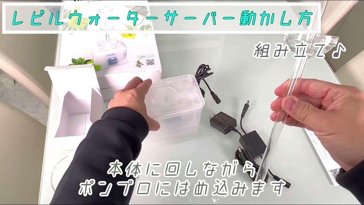 レビルウォーターサーバーPLUS【レビルクイーン】樹上生物の水飲み