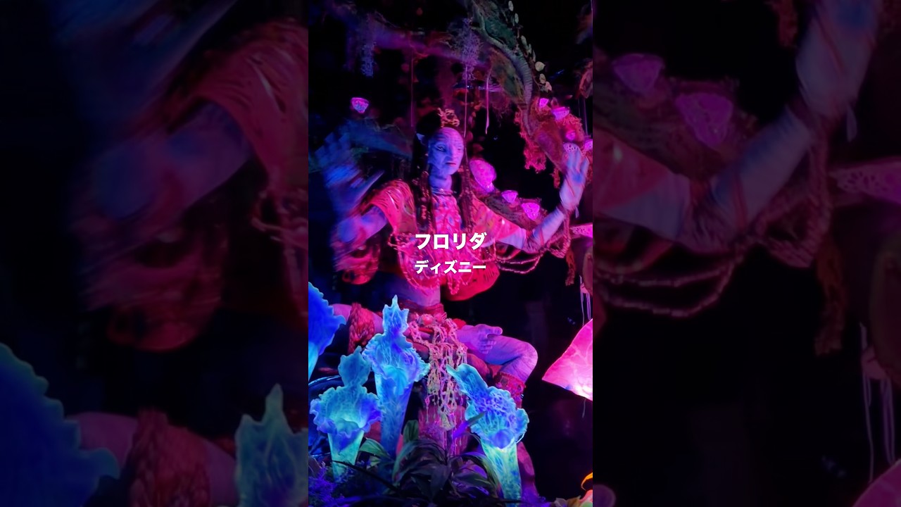 An honest review of Florida Disney attractions in ranking form