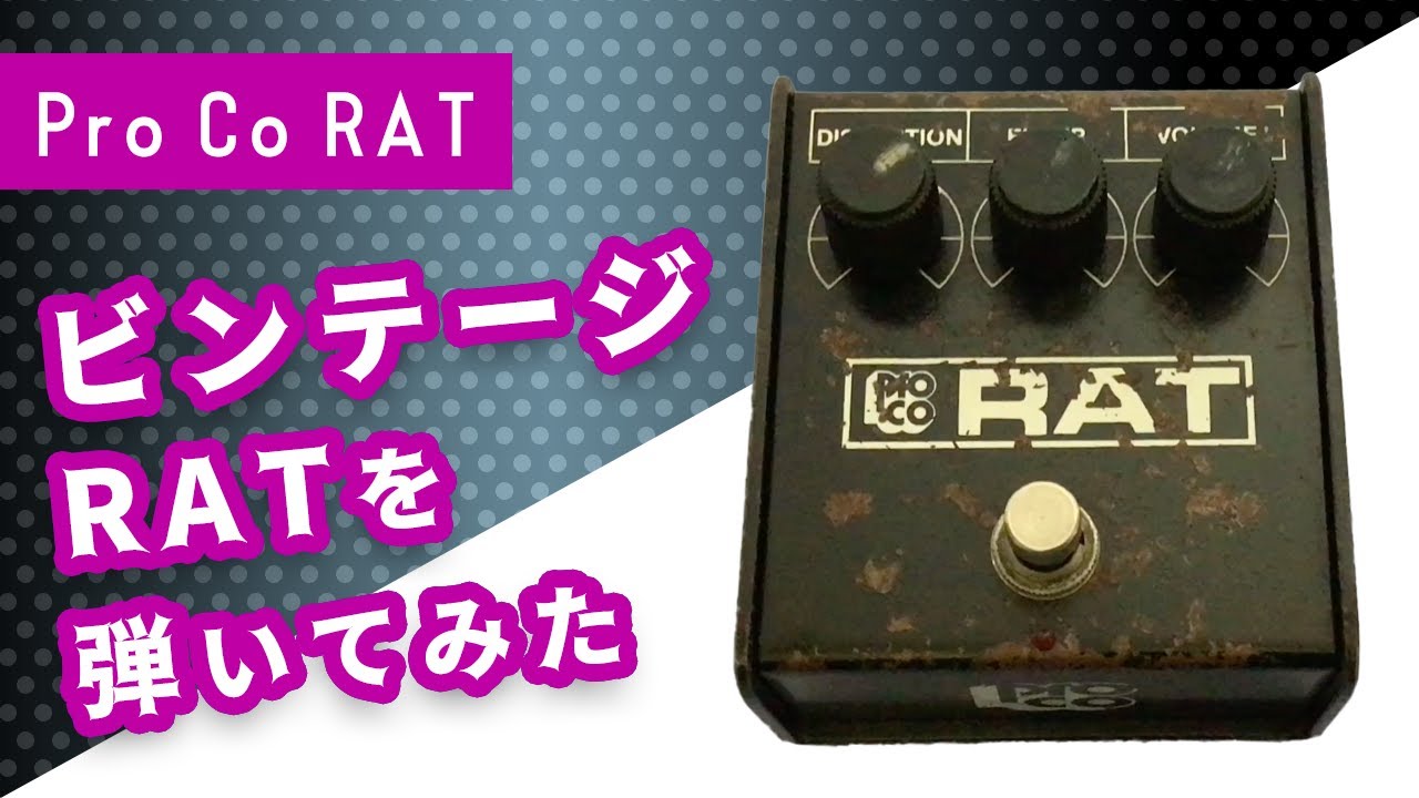 エフェクター紹介】ビンテージRATを弾いてみた！【Pro Co RAT】 - YouTube