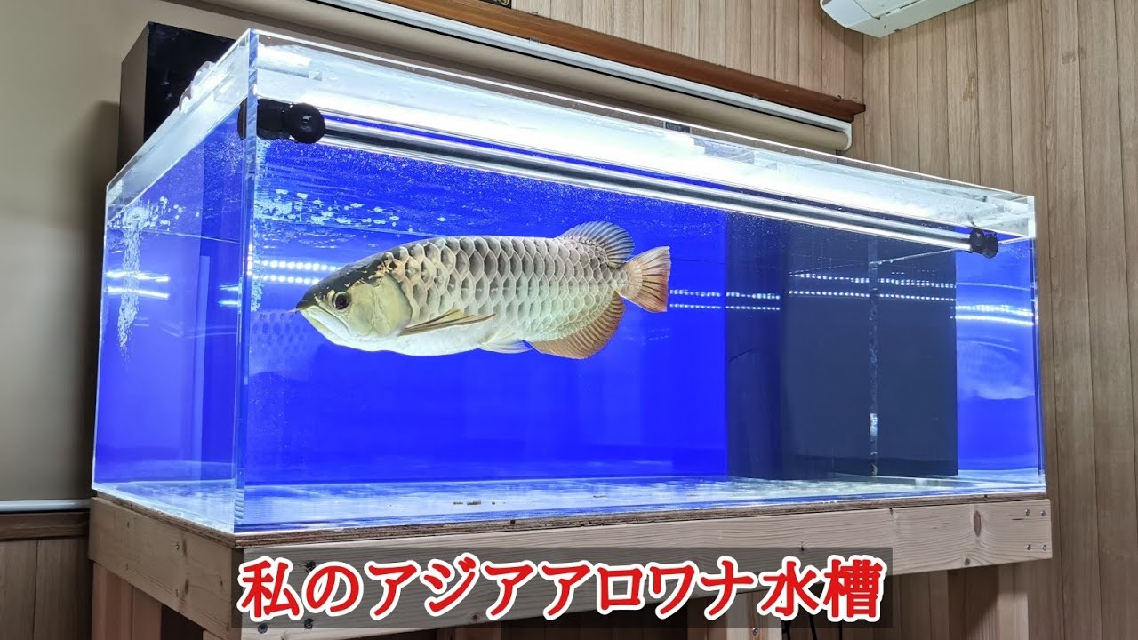 ミツル大型水槽 大型水槽セット 1200 アクアリウム