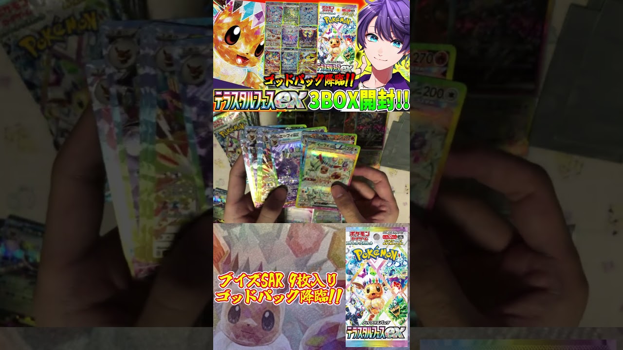 テラスタルフェス ブイズex SAR 9枚セット ゴットパック 【公式通販】