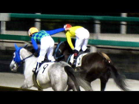 森泰斗】引退レースのゴール後に勝った町田騎手を気遣う 現地映像