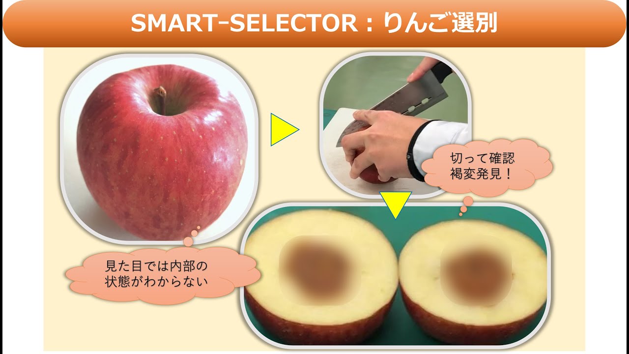 りんご様確認ページ SMARTｰSELECTOR【Vol.3】：りんご褐変編 青果物
