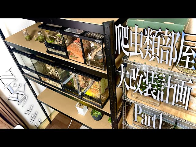 I installed a huge rack to keep lots of reptiles. ~Reptile room