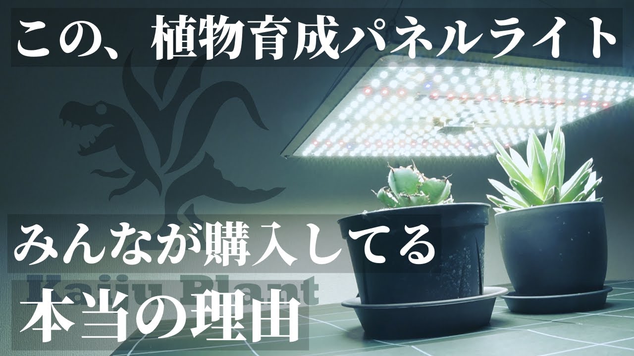 超おすすめ】まるで太陽！植物育成用LEDパネルライト「怪獣フレア301