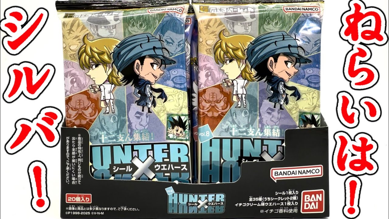 The target is Silver! Aim for a complete collection of Zoldyck