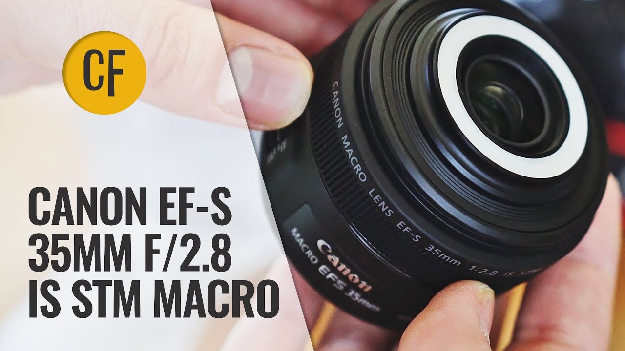 Canon EF-S 35mm f/2.8 IS STM Macro lens review with samples - YouTube