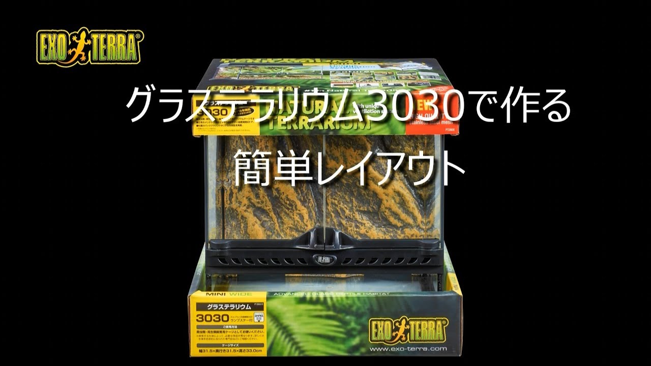 グラステラリウム 爬虫類情報 | 爬虫類用品・エキゾテラのジェックス