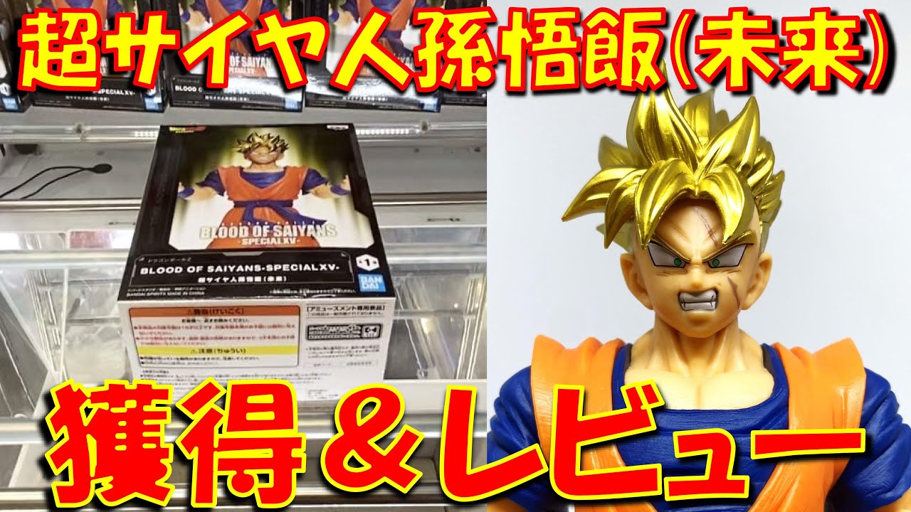 孫悟飯 未来 ＋おまけ19枚 ドラゴンボールヒーローズ PSA10 孫悟飯未来 HG-