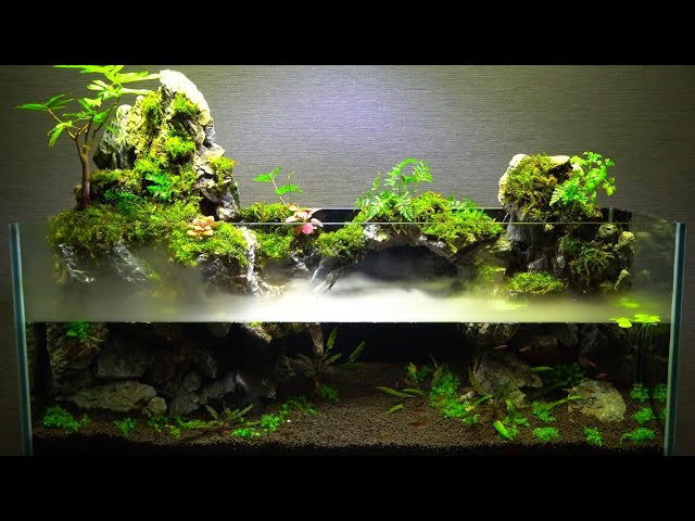 90センチ水槽で滝の流れるアクアテラリウムを作る【part74】 Make an