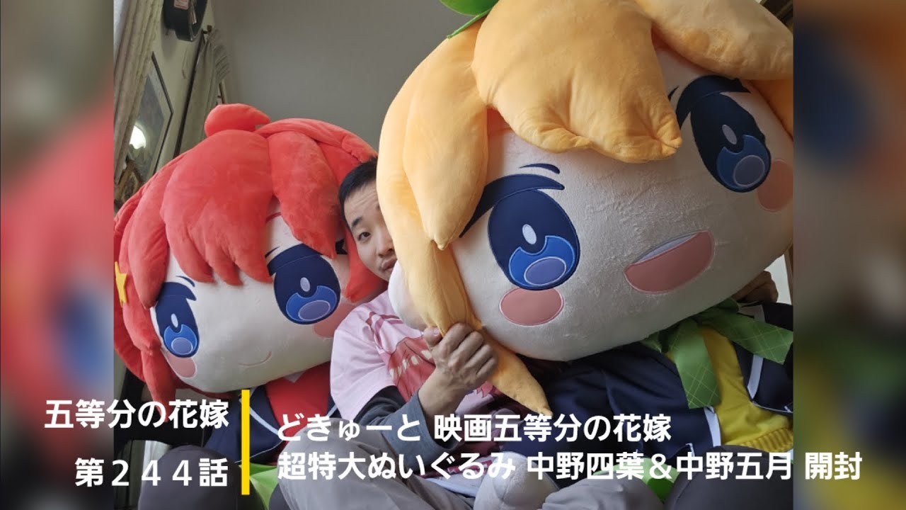 どきゅーと 五等分の花嫁 中野四葉 超特大ぬいぐるみ