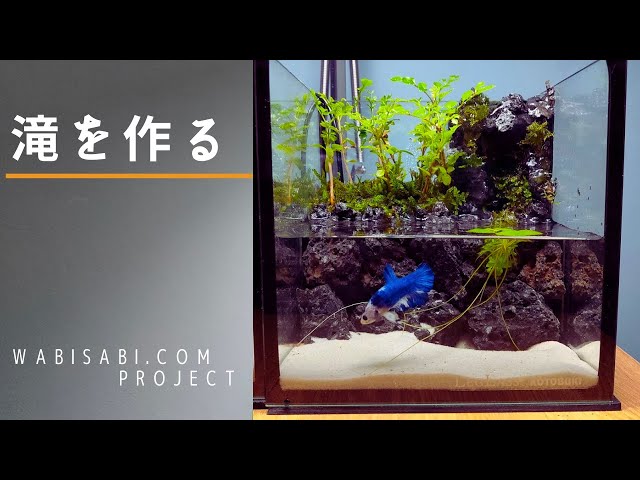 アクアテラリウムの作り方】小さな水槽に滝を作る - YouTube